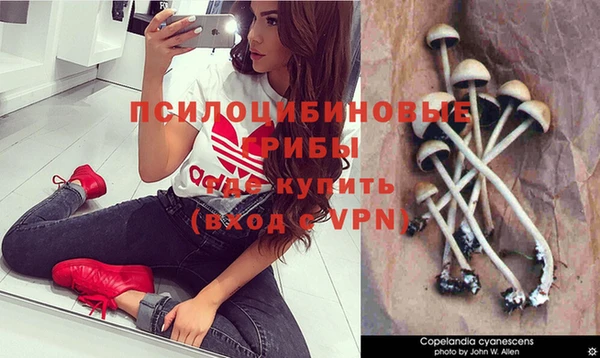 трава Беломорск
