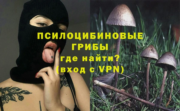трава Беломорск