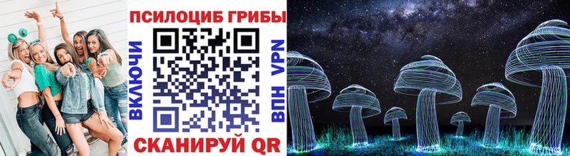 блэк спрут вход  Мелеуз  Псилоцибиновые грибы MAGIC MUSHROOMS 